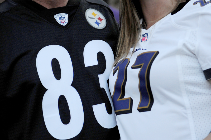 Illustration for article titled Ravens Fans Stand Up For Ray Rice